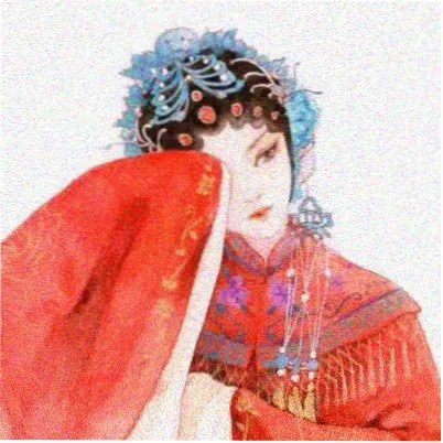读者 叶脉收藏者 的头像